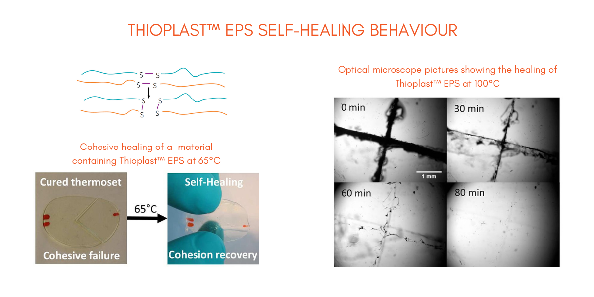 Thioplast polysulfide materials self-healing over time